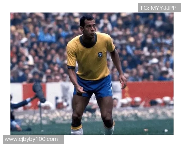 全球足球历史50大球星排名揭晓 谁是你心中的足坛传奇